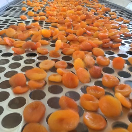 Dried Apricots | Natural Sun Apricots | Mulberry | Figs | Apricots Kernel Dried Apricots | Natural Sun Apricots | Mulberry | Figs | Apricots Kernel