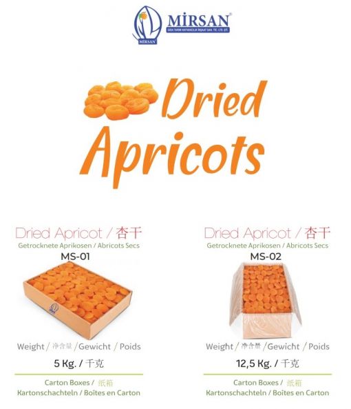 dried apricot