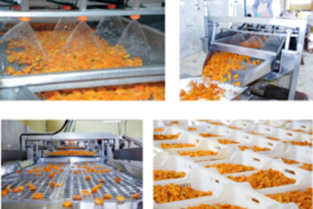 Dried Apricots from Malatya - Mirsan Gıda