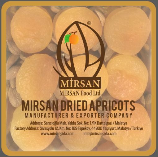  http://www.mirsangida.com/